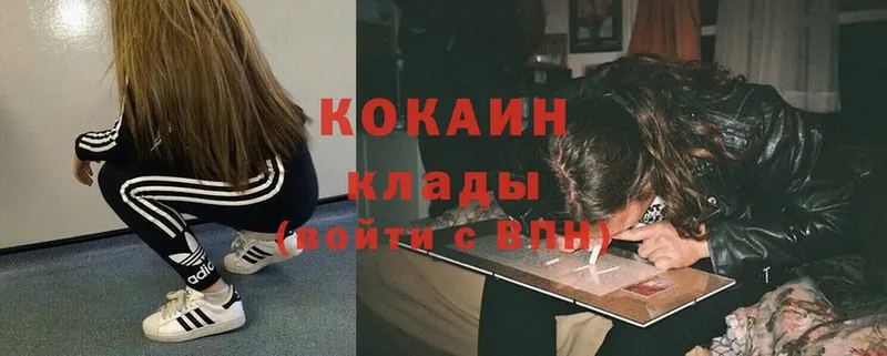 Cocaine FishScale  блэк спрут ссылки  Котельники 