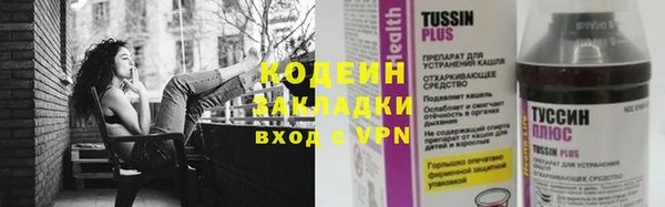 хмурый Туринск