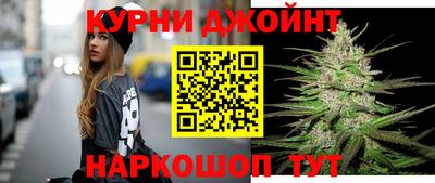гашик Будённовск