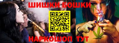 гашик Будённовск