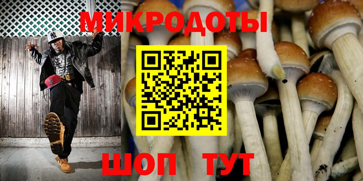 Котельники  Псилоцибиновые грибы Psilocybe  Вход с VPN 