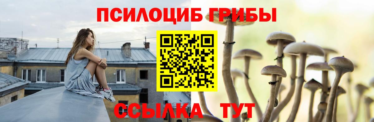 Галлюциногенные грибы Cubensis  Котельники  Псилоцибиновые грибы Magic Shrooms 